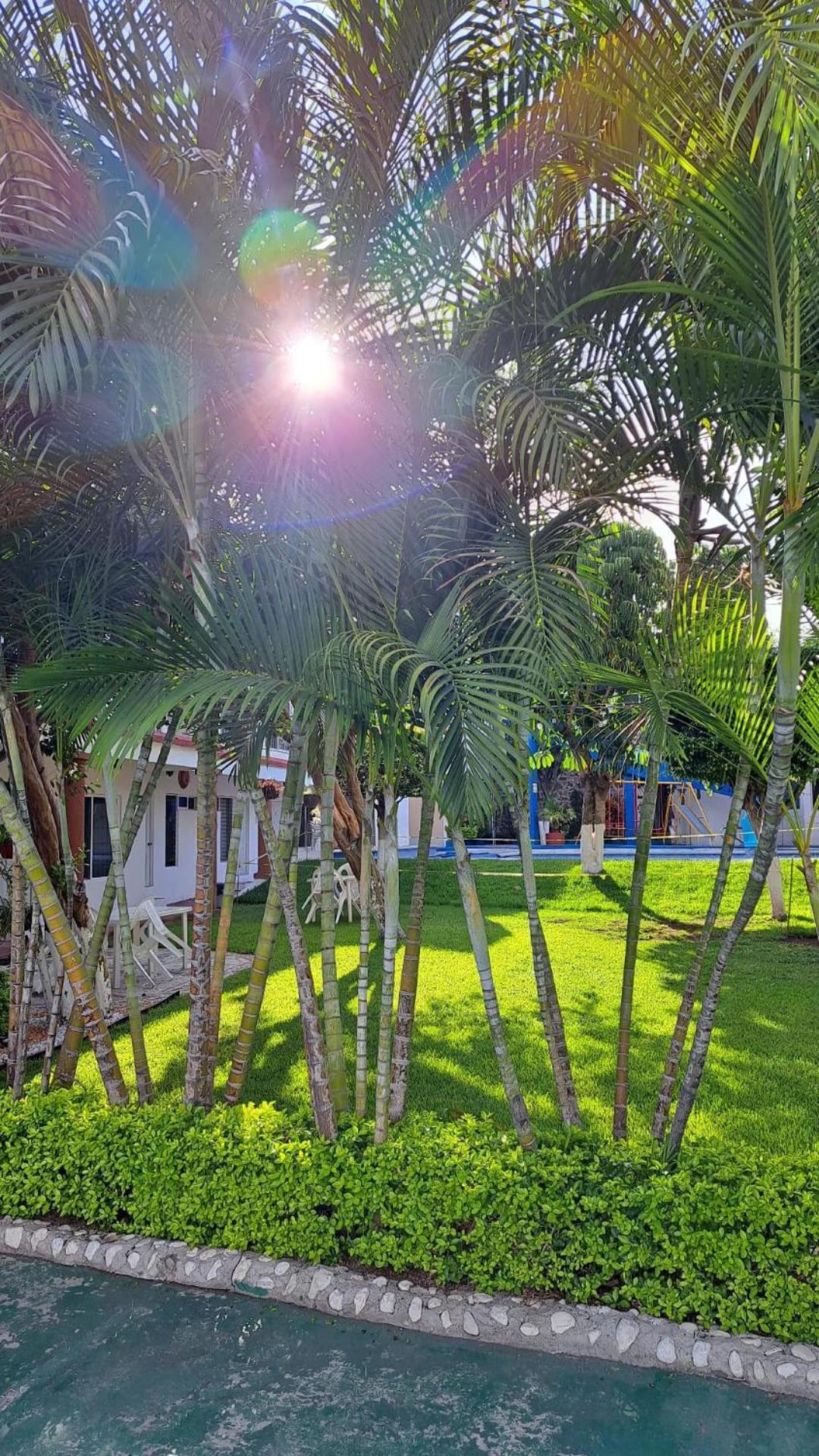 Hotel Quinta Paraiso Cocoyoc Zewnętrze zdjęcie